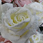 Růže bílá 65 cm