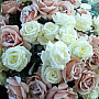 Růže bílá 65 cm
