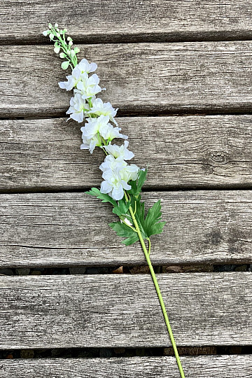 Delphinium bílé 79 cm