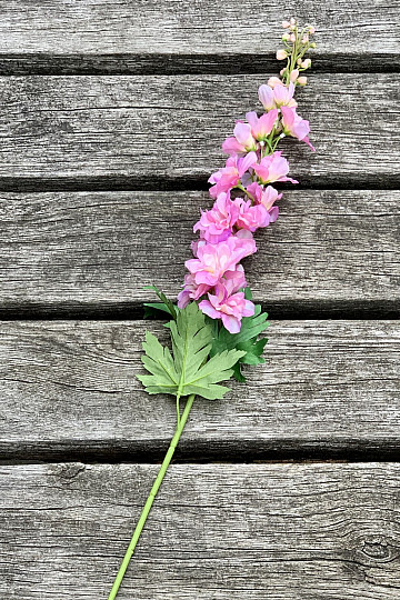 Delphinium růžové 79 cm