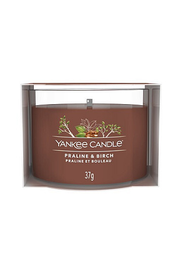 svíčka YANKEE CANDLE vůně PRALINE & BIRCH VE SKLE 37g