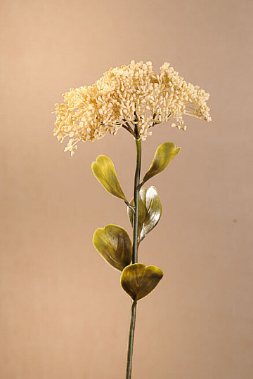 DRY FULL BLOOM SEDUM 46 cm bílá