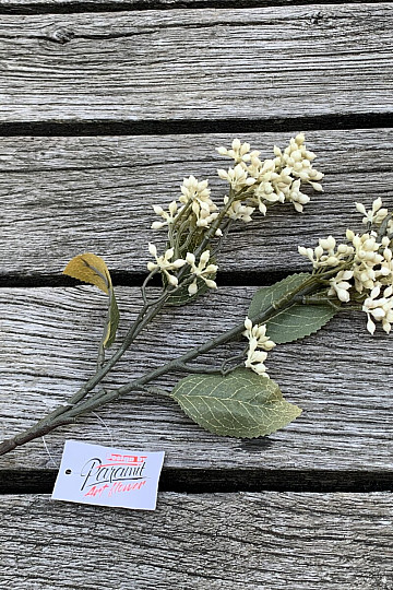 DRY VIBURNUM TINUS 58 cm bílá