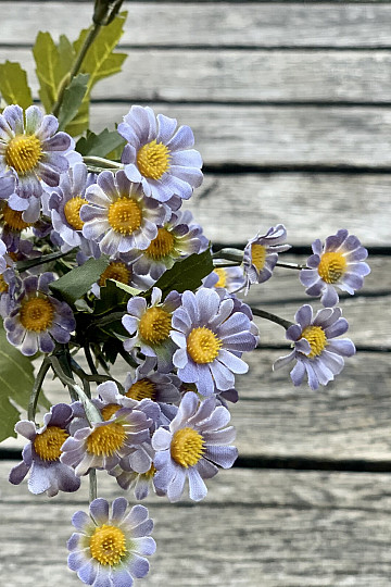 MINI DAISY MODRÁ