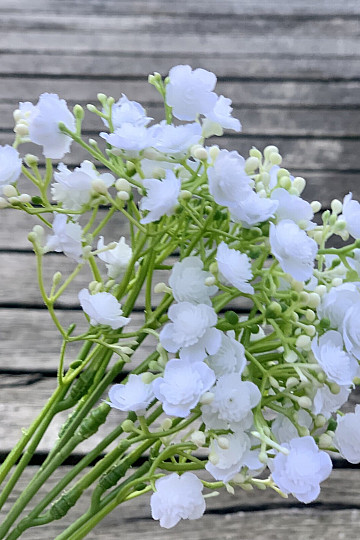 GYPSO SPRAY BÍLÁ