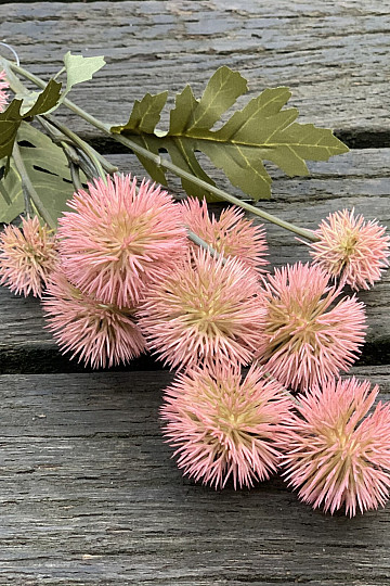DRY PLASTIC POMPOM RŮŽOVÁ