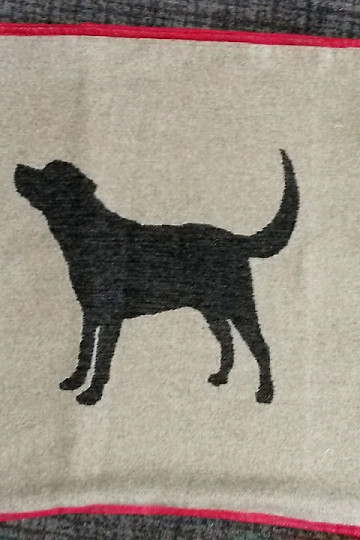 povlak DF pro psy LABRADOR béžový