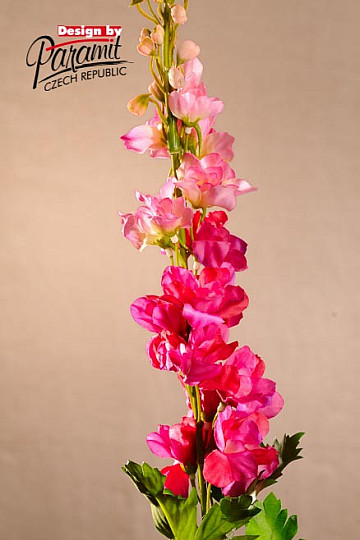 Delphinium vínové 79 cm