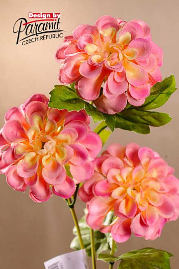 Dahlia růžovo-žlutá 56 cm