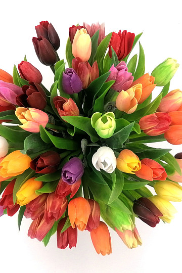 Tulipány mix barev