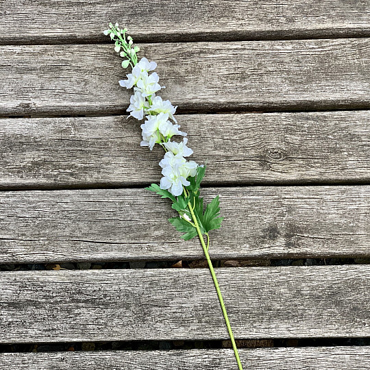 Delphinium bílé 79 cm