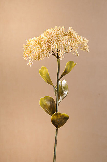 DRY FULL BLOOM SEDUM 46 cm bílá