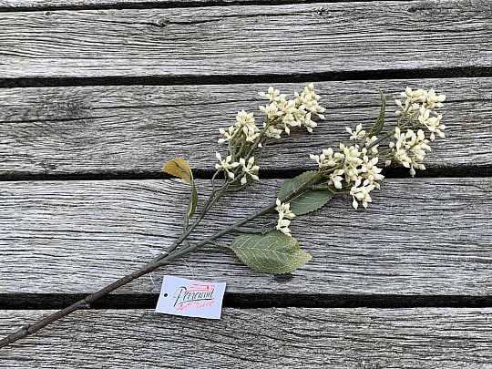 DRY VIBURNUM TINUS 58 cm bílá