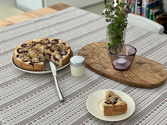 Ubrus a šál TOSCANA VALERY RIGA PRUH BORDO