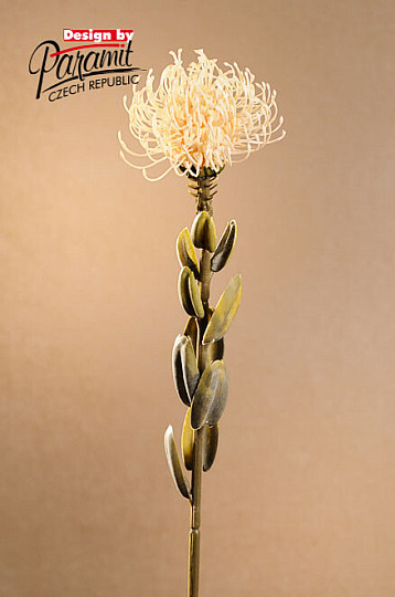 DRY SMALL PROTEA BÍLÁ