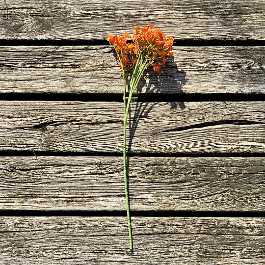 GYPSO SPRAY ORANŽOVÁ