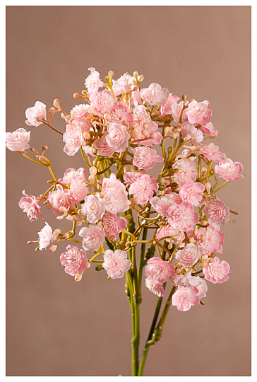 GYPSO SPRAY RŮŽOVÁ