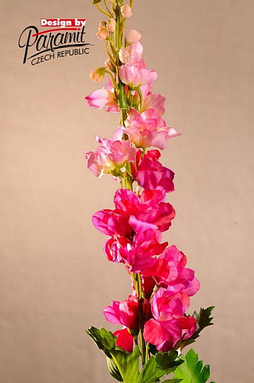 Delphinium vínové 79 cm