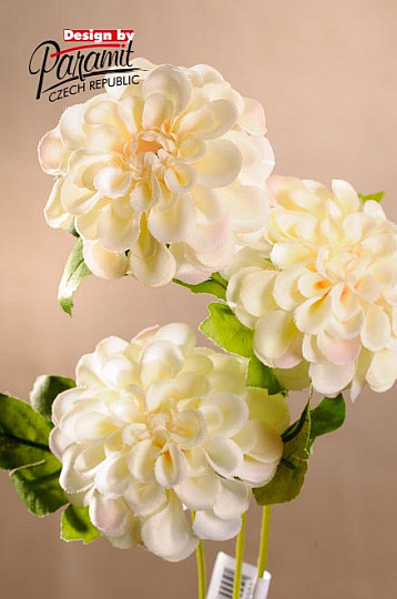 Dahlia krémová 56 cm