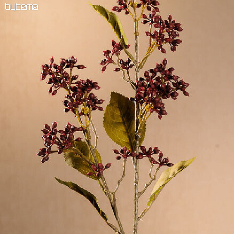 DRY VIBURNUM TINUS 58 cm vínová