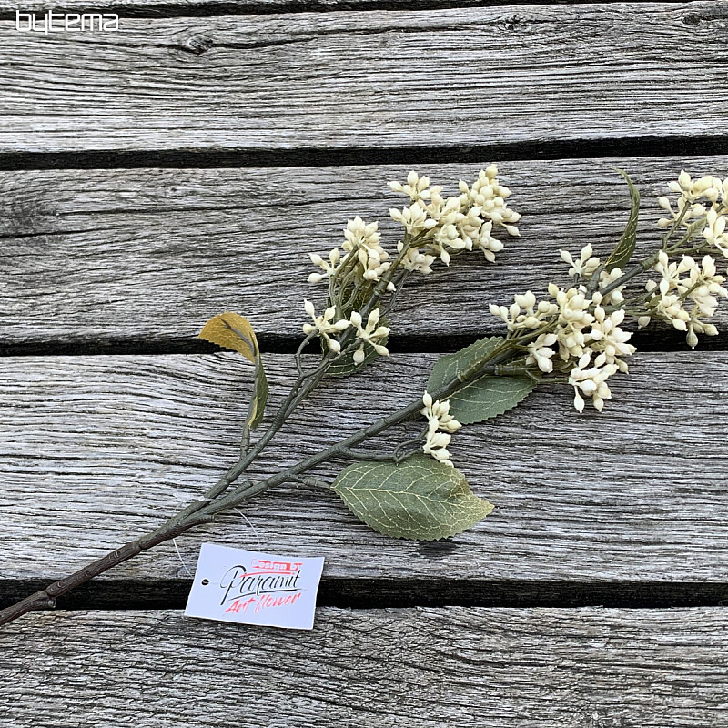 DRY VIBURNUM TINUS 58 cm bílá