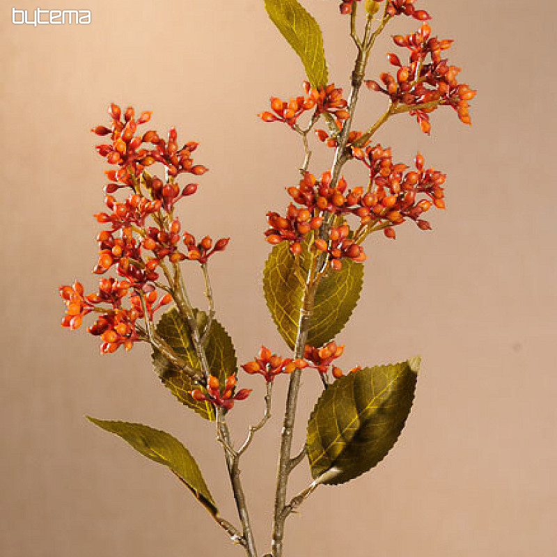 DRY VIBURNUM TINUS 58 cm oranžová