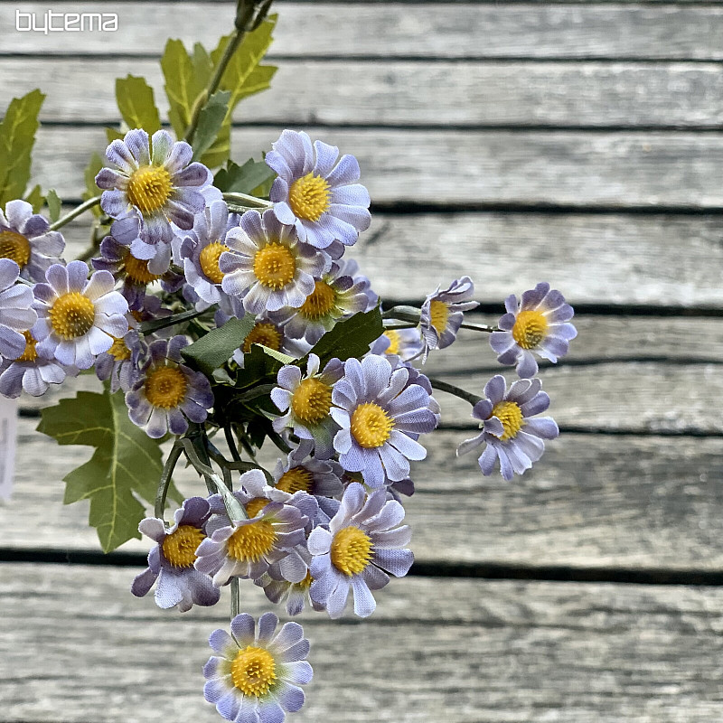 MINI DAISY MODRÁ