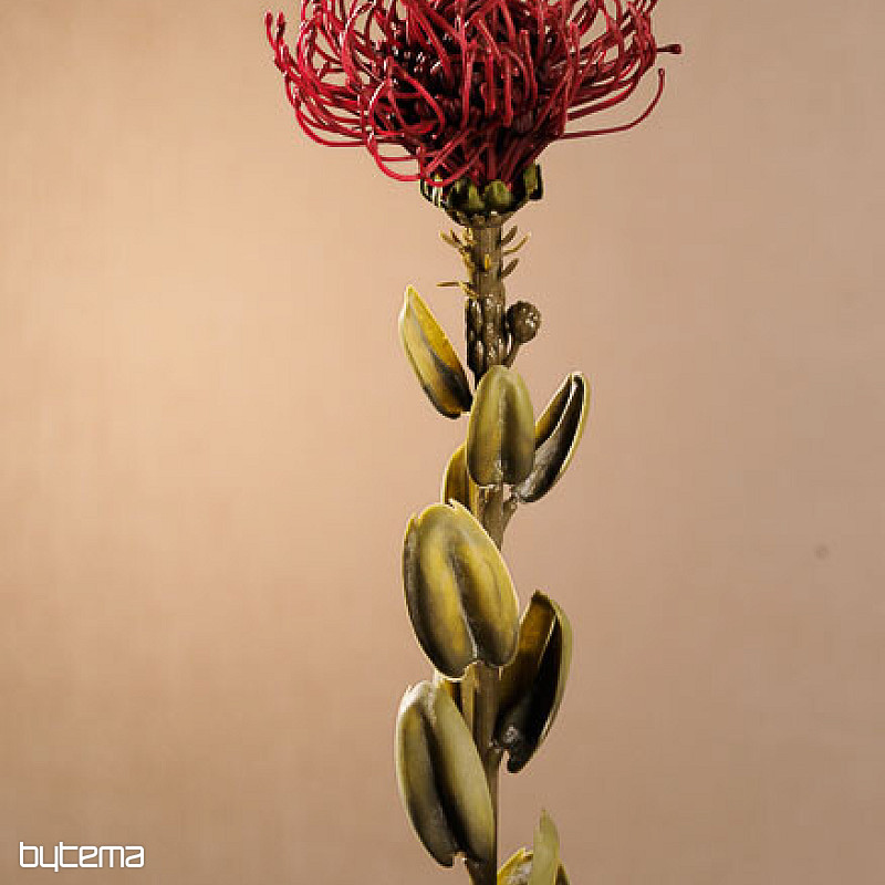 DRY SMALL PROTEA ČERVENÁ