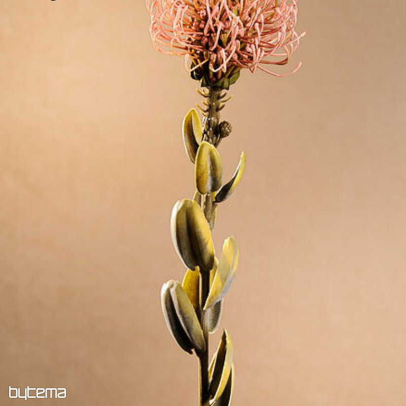 DRY SMALL PROTEA RŮŽOVÁ