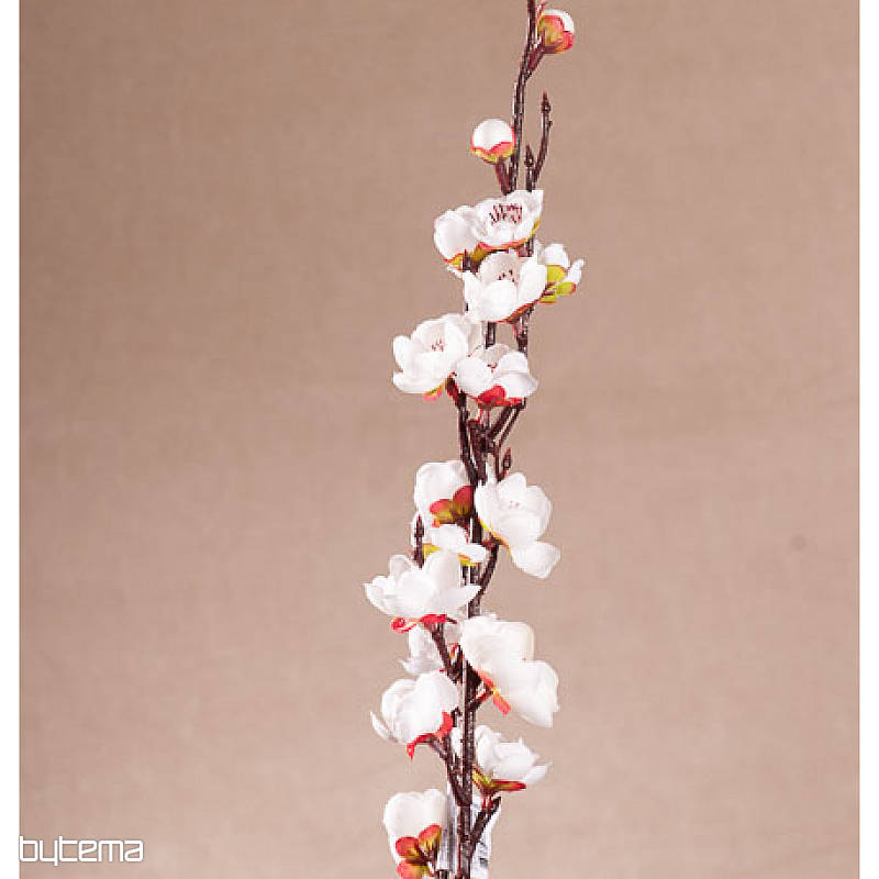 TŘEŠŇOVÁ VĚTVIČKA BÍLÁ