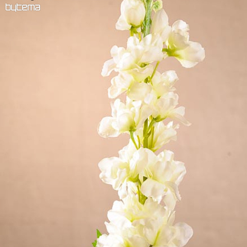 Delphinium bílé 79 cm