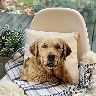 Pro milovníky zvířat - hebkost, která si vás ochočí