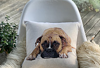 Pro milovníky zvířat - hebkost, která si vás ochočí