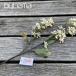 DRY VIBURNUM TINUS 58 cm bílá