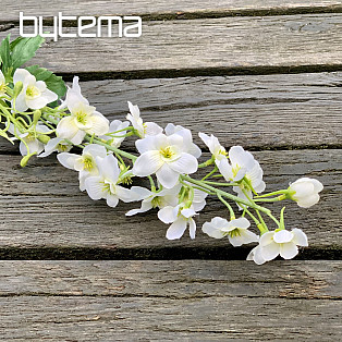 DELPHINIUM BÍLÁ