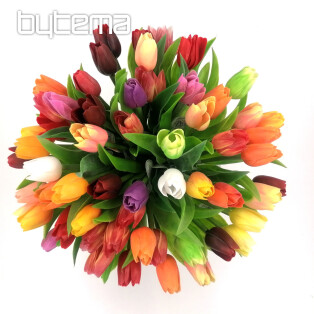 Tulipány mix barev