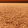 Střižený koberec SPHINX oranžový