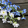 DELPHINIUM BÍLÁ