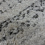 vlněný kusový koberec LANAE ETNO 106