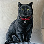 Gobelínový povlak na polštář BLACK CAT