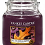 svíčka YANKEE CANDLE vůně AUTUMN GLOW