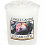 svíčka YANKEE CANDLE vůně SUGARED APPLE - pocokrované jablko