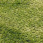Zelený kusový koberec SHAGGY AFRIGO lesk