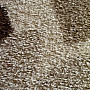 Kusový koberec SHAGGY EXTRA listy béžové