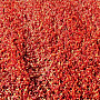 Kusový koberec SUPER SHAGGY oranž melir