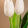 Tulipány mix barev