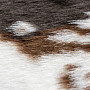 Moderní koberec RODEO 201 COW