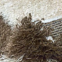 Kusový koberec SHAGGY PLEASURE Ellipse hnědý