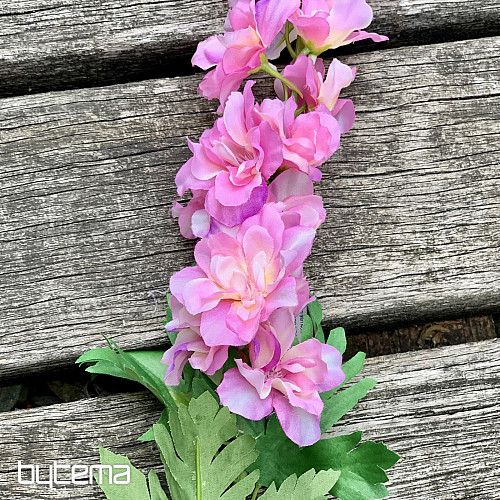 Delphinium růžové 79 cm