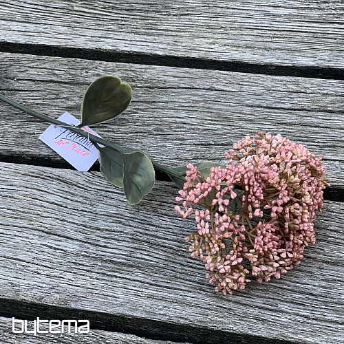 DRY FULL BLOOM SEDUM 46 cm starorůžová